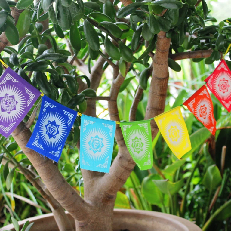 Mini Seven Chakra Prayer Flags - Image 5